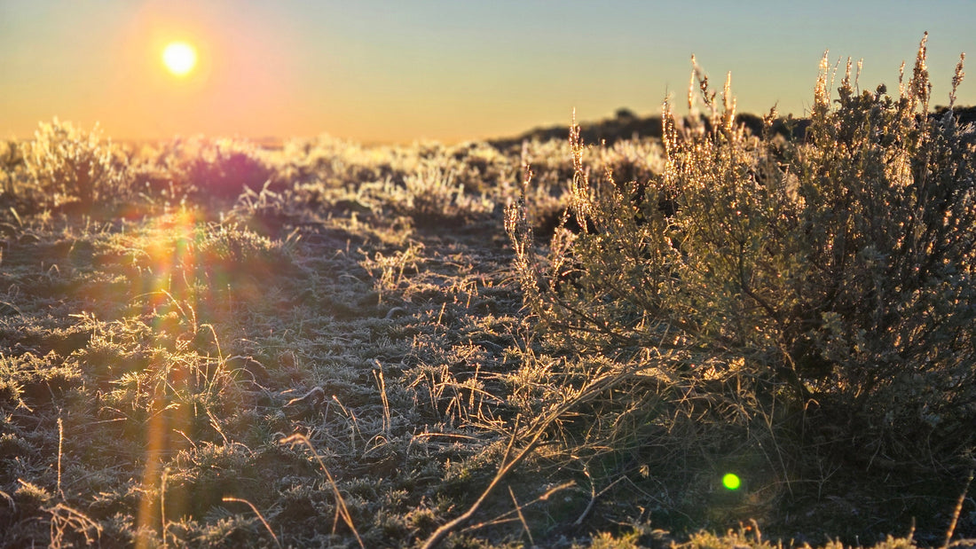 An ounce of performance is worth pounds of promises...