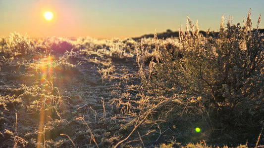 An ounce of performance is worth pounds of promises...