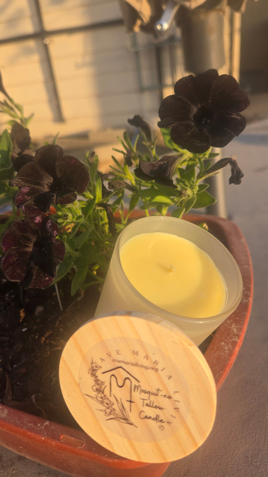 Citronella Tallow/Beeswax Candle
